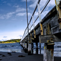 自动化监控的短信轰炸