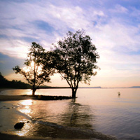 短信呼叫轰炸app